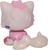 #2532 Persian Cat